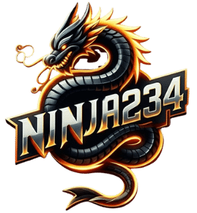 ninja234 logo